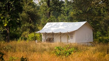 Premier Tent, Mountain View | 1 bedroom, in-room safe, desk, laptop workspace