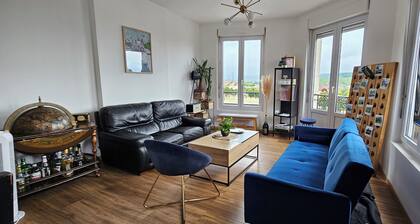 Apartment with breathtaking vineyard views in Epernay
