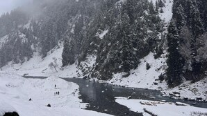 A snow-covered landscape with a river, dense forest, and a rocky terrain. - Hotel Mountview Sonamarg (Gund)