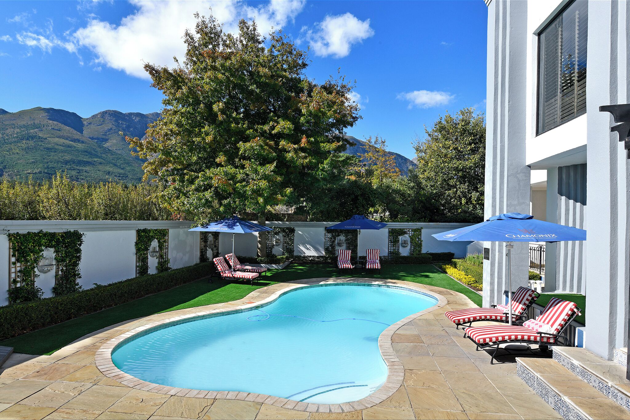 Photo - Kilima Franschhoek