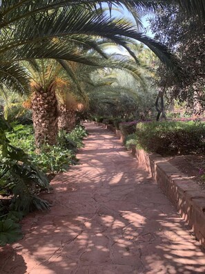 Jardí