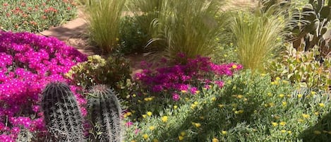 Jardin