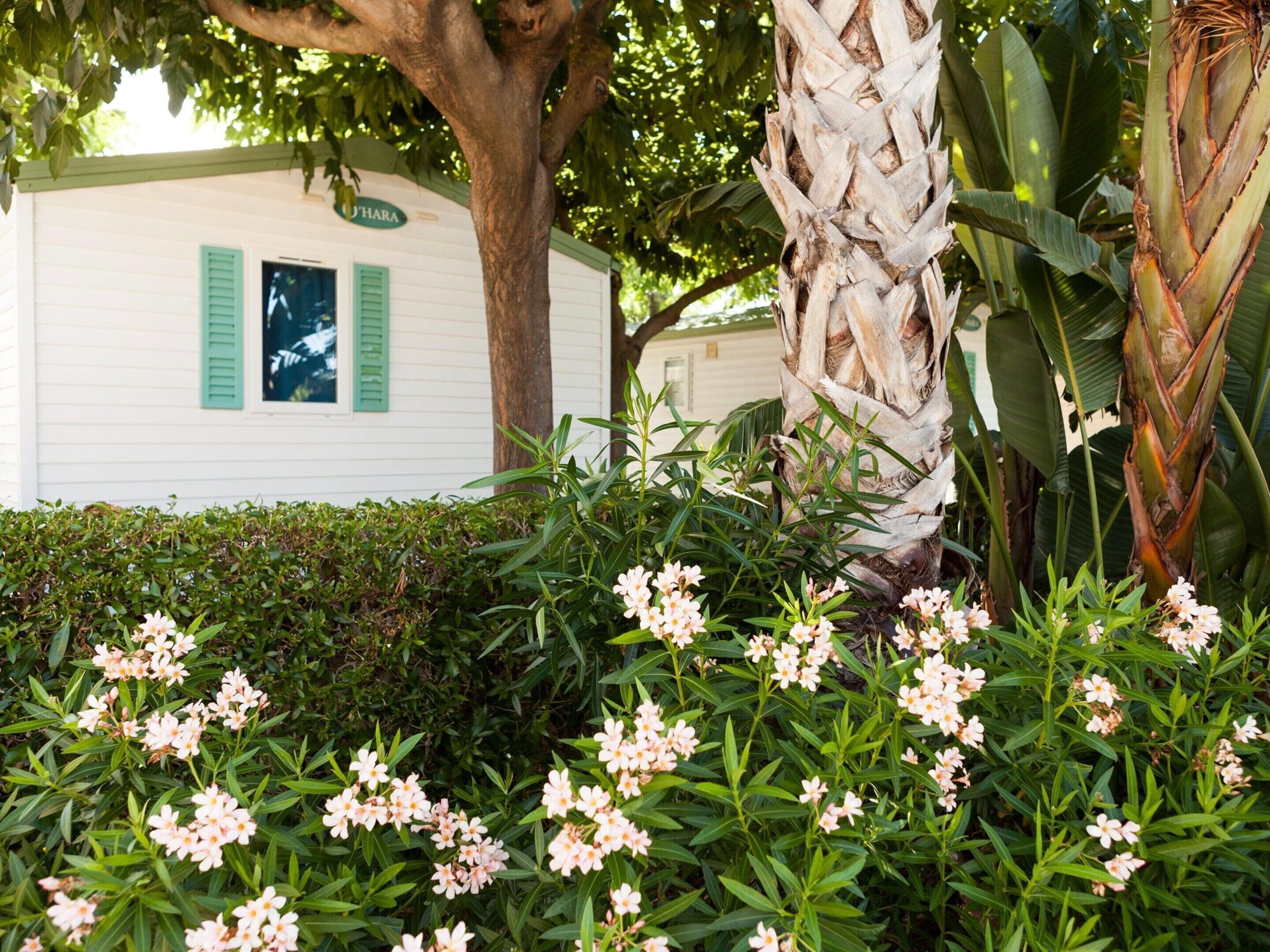 منزل | المنشأة من الخارج