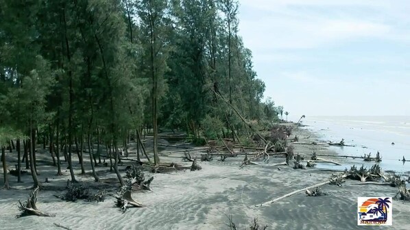 Front of property - The Marwah Kuakata (Kalapara)