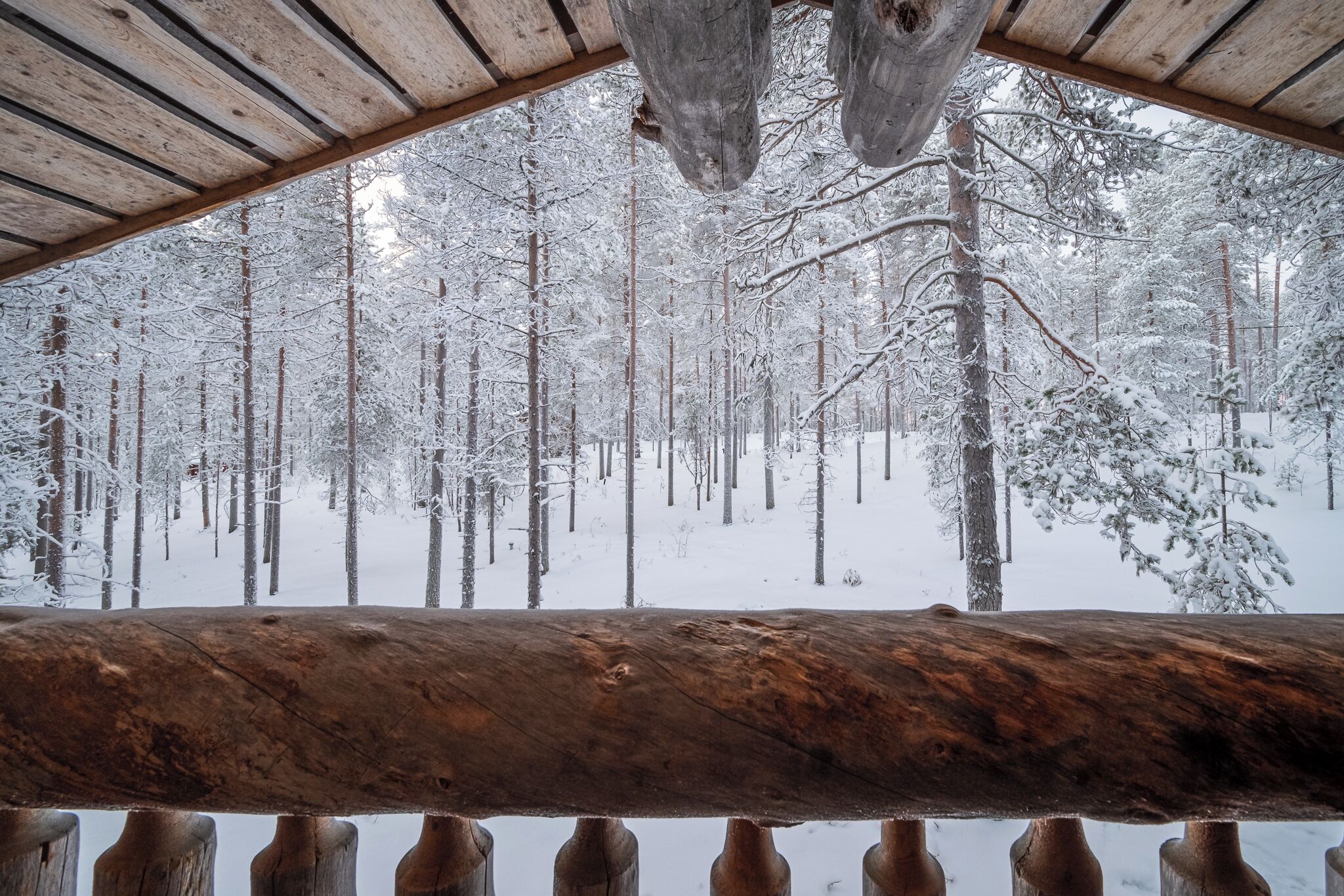 Une cabane en rondins avec un plafond en bois et une vue sur une forêt enneigée.