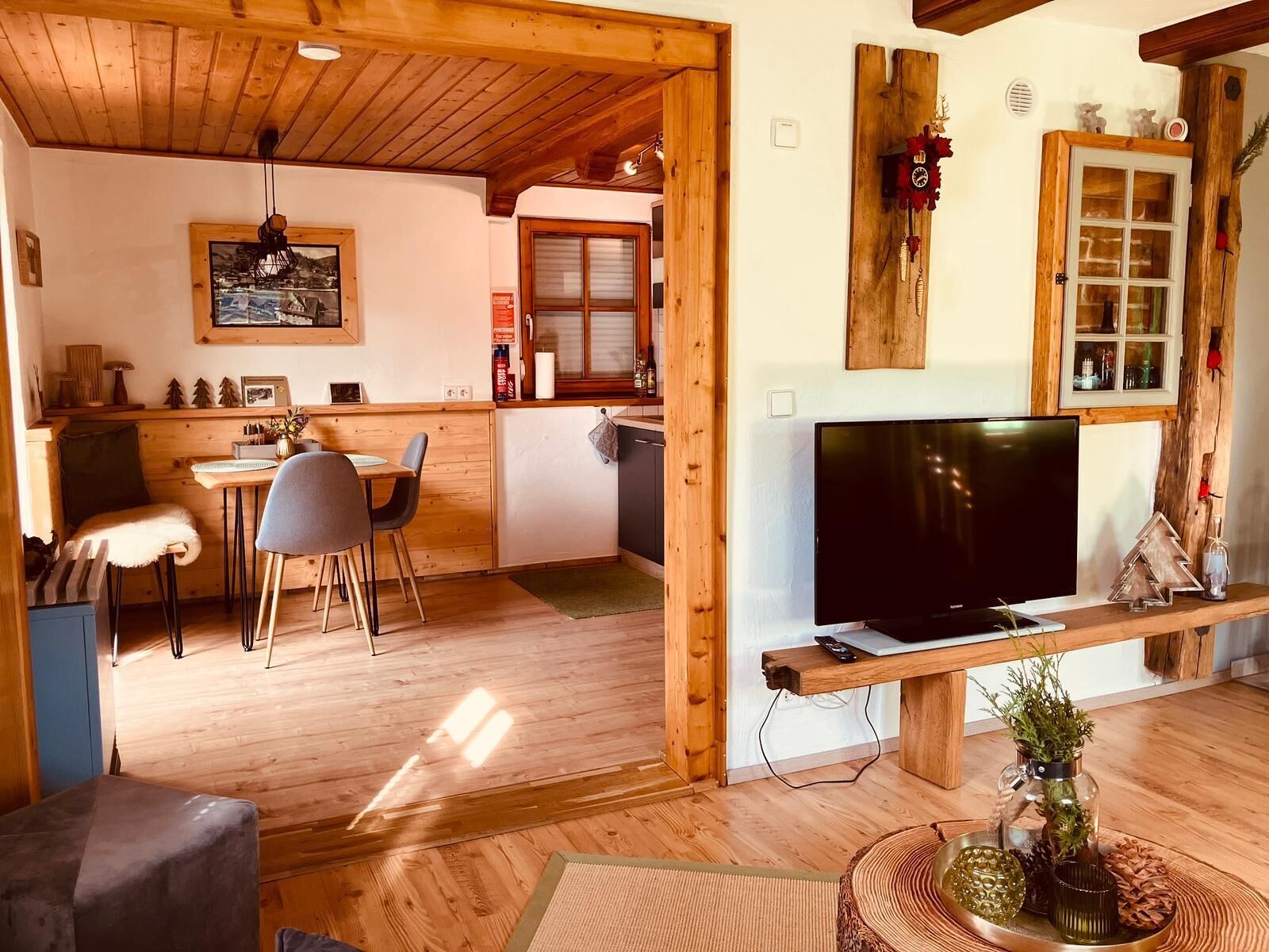 Smart TV, fireplace, books, music library