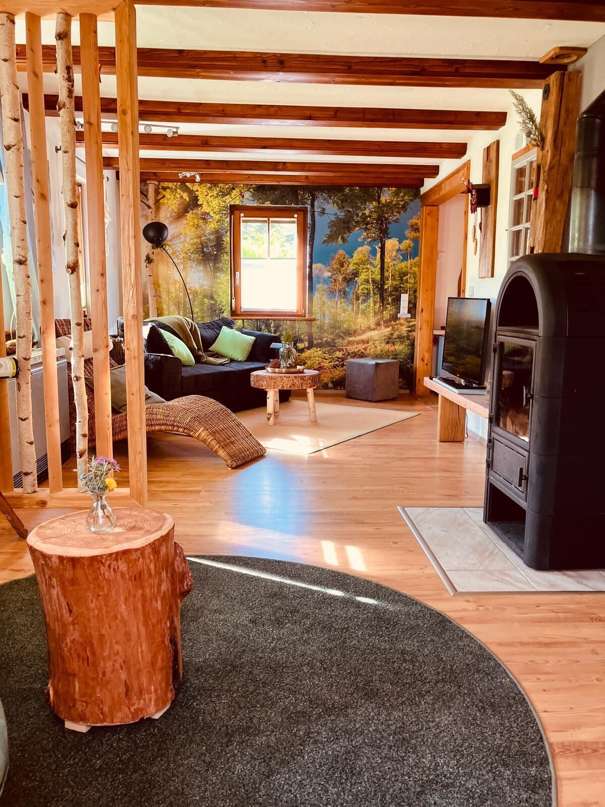 TV connectée, cheminée, livres, médiathèque