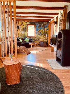 TV connectée, cheminée, livres, médiathèque