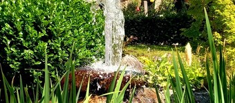 Ferien-Häusle am Nationalpark.
Uriges, Klimafreundliches Häusle. 