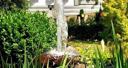 Ferien-Häusle am Nationalpark.
Uriges, Klimafreundliches Häusle.