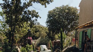 A swimming pool with clear water, surrounded by greenery and a building with a balcony. - Case di Pigna magnificent recent VILLA 2 to 6 pers private swimming pool near Algajola (pigna)