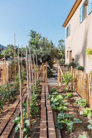 Property grounds - Case di Pigna magnificent recent VILLA 2 to 6 pers private swimming pool near Algajola (pigna)