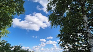 Ein friedlicher See, umgeben von dichtem Grün und wolkenlosem Himmel.