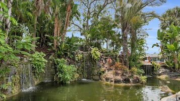 Jardines del alojamiento