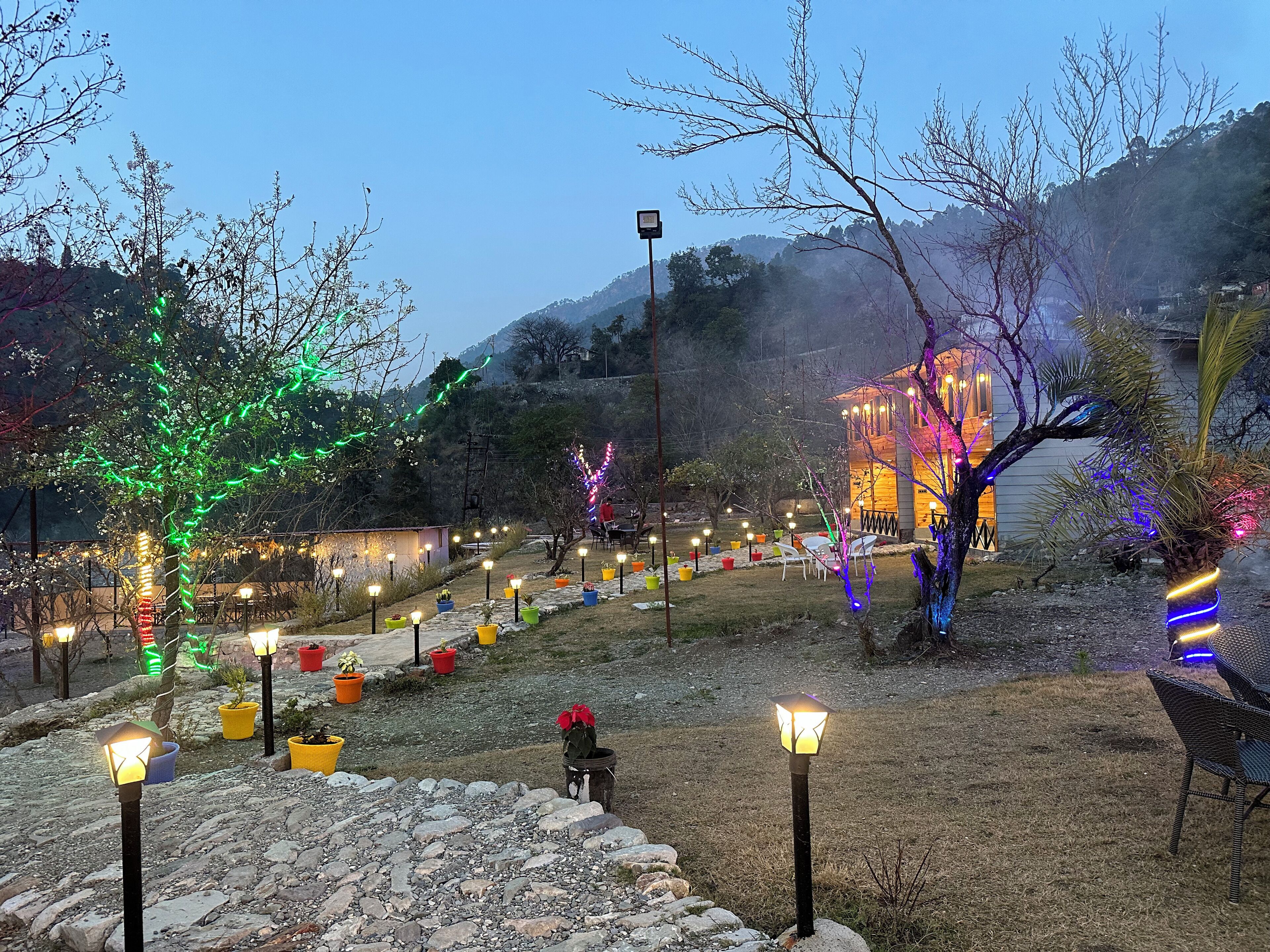 Ein Gartenbereich mit Blumentöpfen, Sitzgelegenheiten im Freien und einem Gebäude mit farbigen Lichtern.