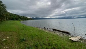 Udsigt over en sø med en græsplæne og en træbro, der strækker sig ud i vandet.