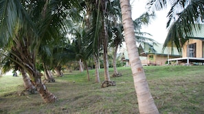 Exterior - Lodge Hummingbird - Lake Bosomtwe (Kuntanse)