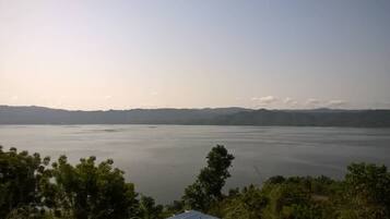 A large body of water with a distant shoreline and surrounding greenery.