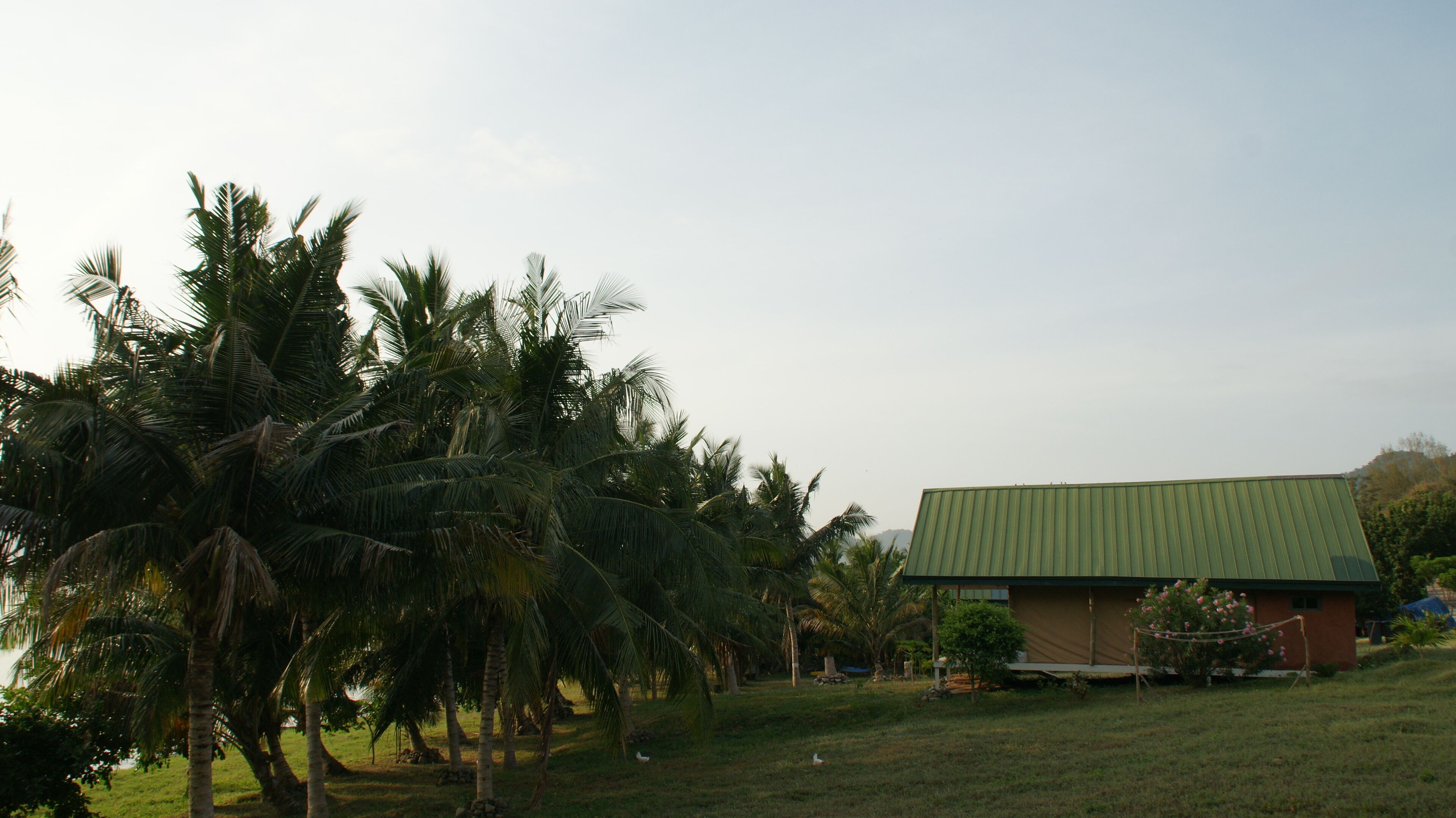A building with a green roof, surrounded by palm trees and a grassy area.