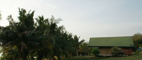 A building with a green roof, surrounded by palm trees and a grassy area.