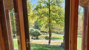 Puerta de madera con panel de vidrio, que da a un patio con baldosas de piedra y un jardín con césped y árboles.