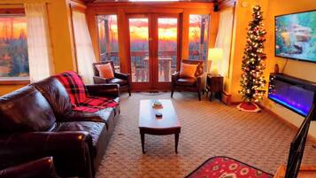 Smart TV, fireplace, books