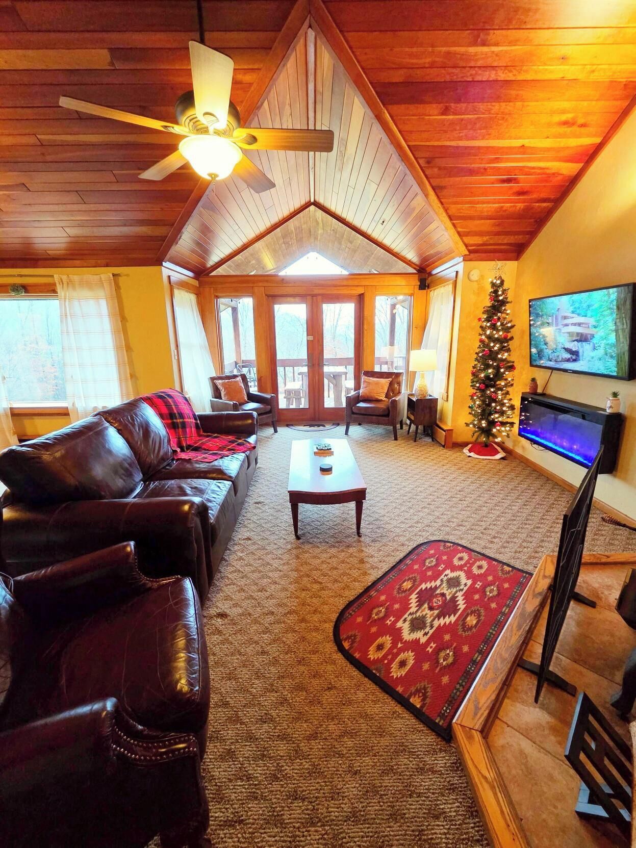 Smart TV, chimenea y libros 