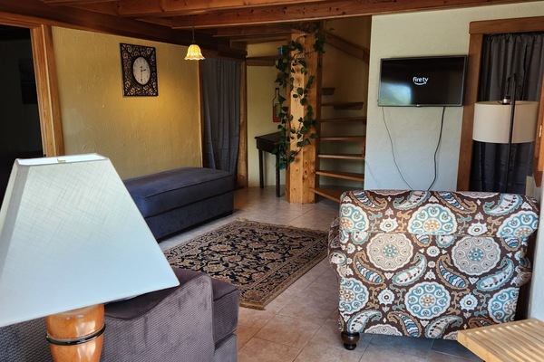 Smart TV, lareira, livros