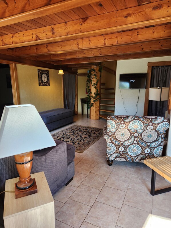 Smart TV, fireplace, books