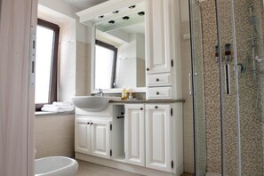 Shower, hair dryer, bidet, towels