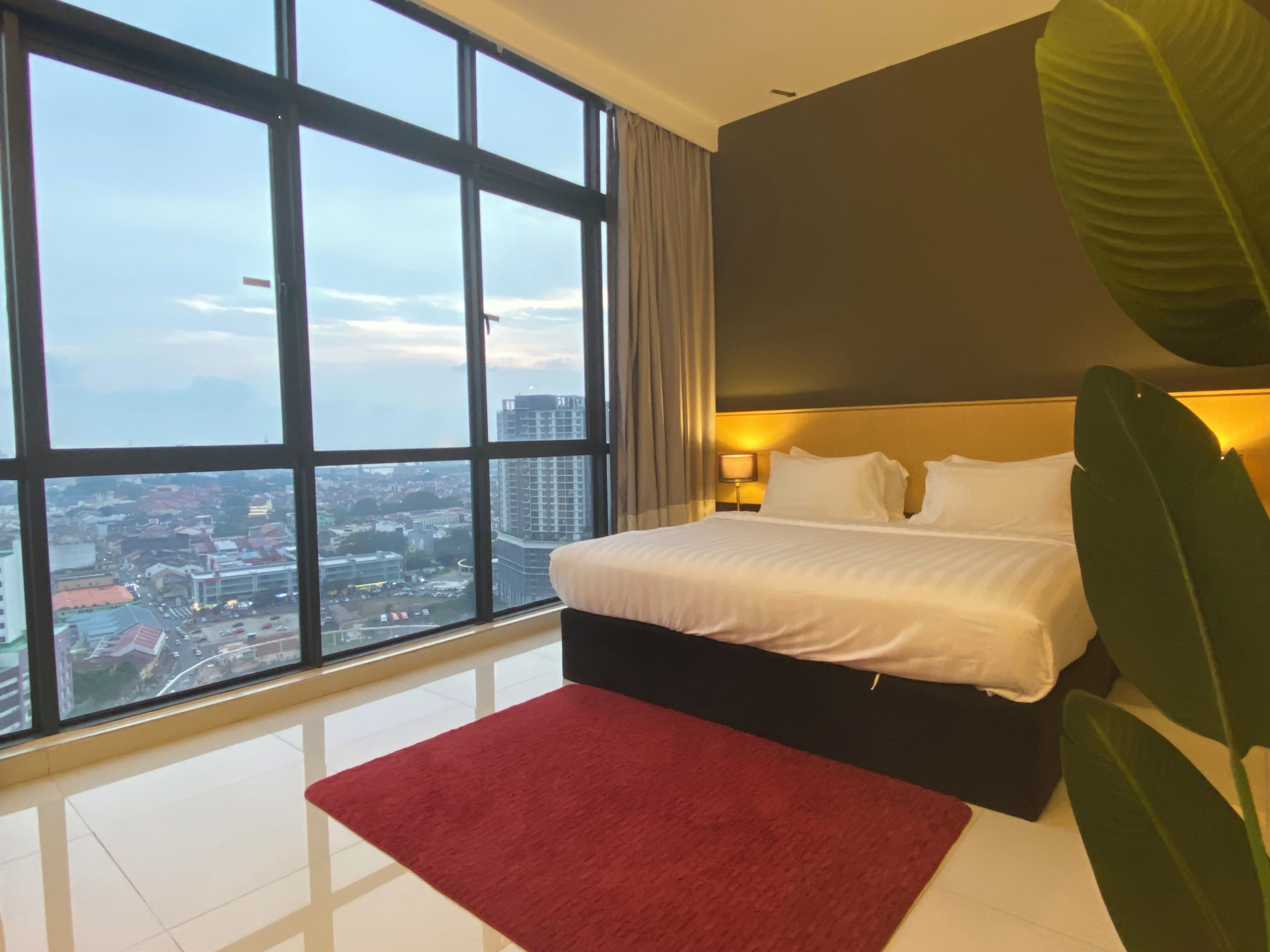 A hotel room with a large window, a bed, a red rug, and a potted plant.