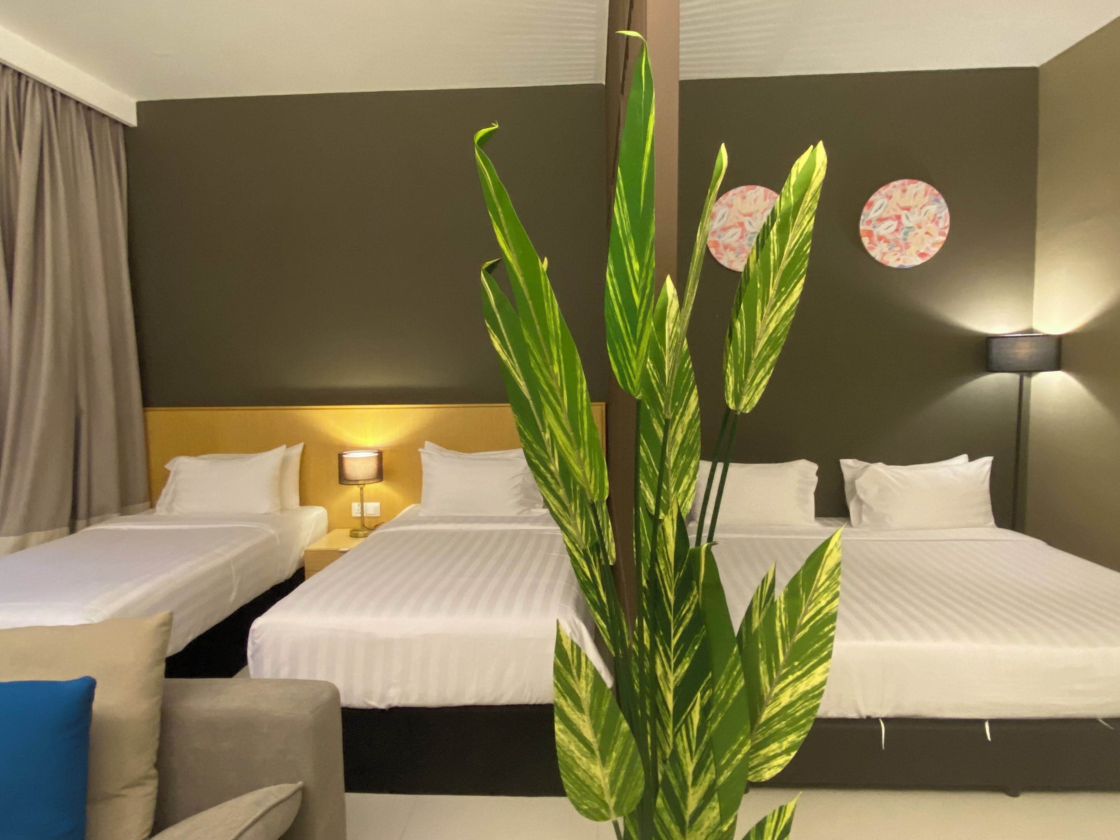 Une chambre d’hôtel avec deux lits, un bureau, une chaise et une grande plante.