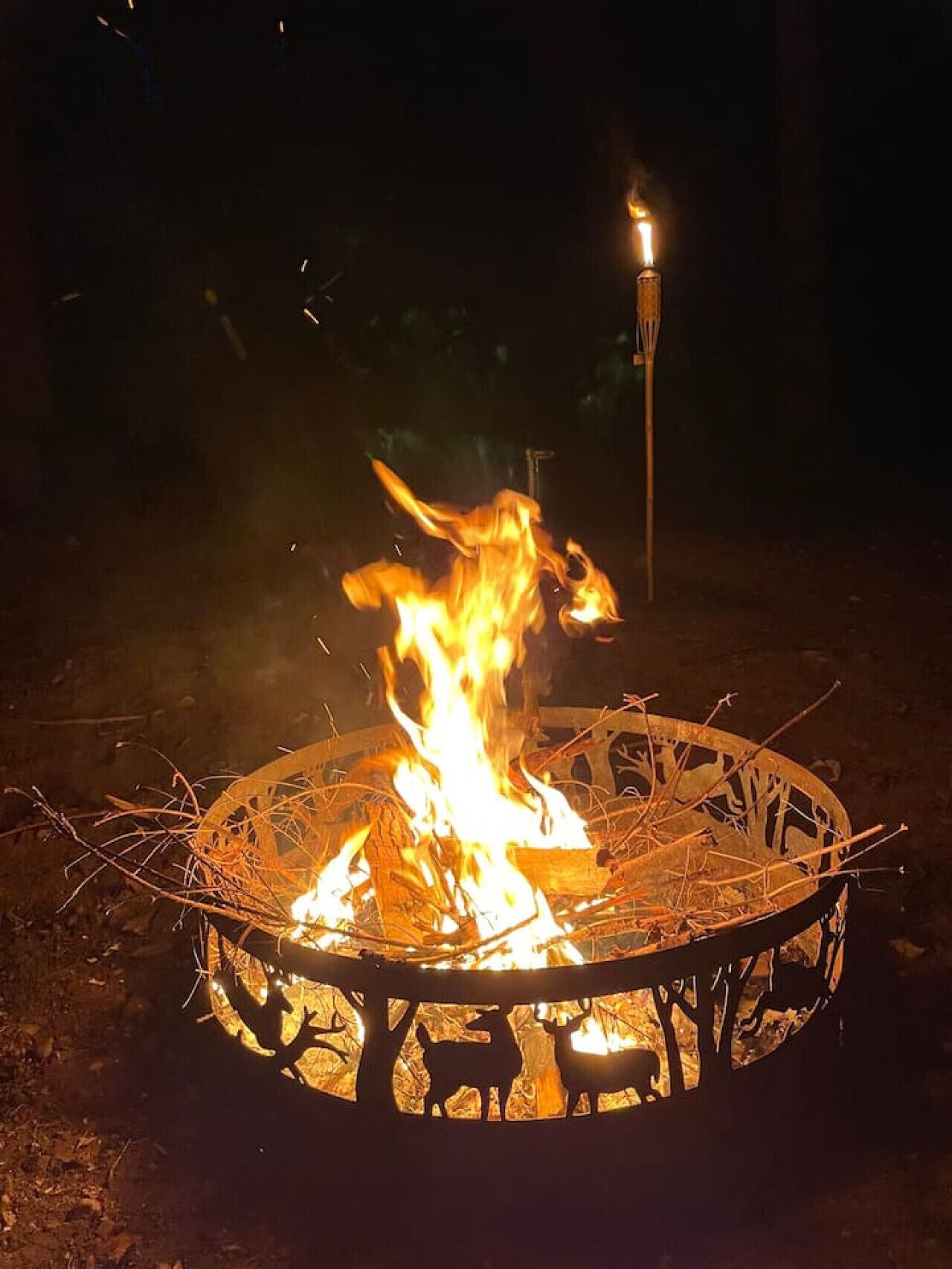 Una fogata con un brasero de metal, rodeada por una barrera circular de metal con siluetas de animales.