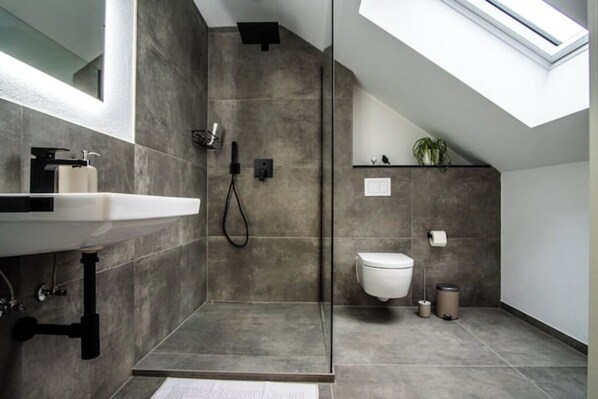 Shower, hair dryer, towels, soap