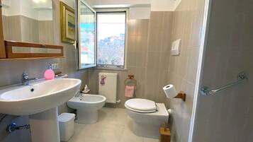 Hair dryer, bidet, towels, soap