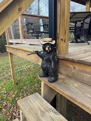 Property grounds - Fayetteville, WV & Summersville, WV Proximity new built cabin w firepit & hottub (Nallen)