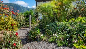 A garden path leading to a building with a mountain backdrop. - Landure Penthouse by Homie (São Vicente)