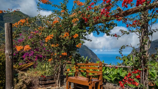 A wooden bench in a garden with colorful flowers and a view of the ocean.