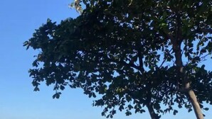 A parking lot with cars and a view of the beach and ocean. - Best location facing the sea in Barra  (Barra da Tijuca Rio de Janeiro)