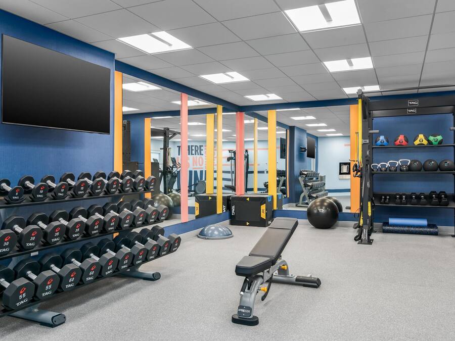 Un gimnasio con racks para pesas, mancuernas, una banca y equipo de ejercicio.