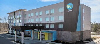 Tru By Hilton Stockbridge