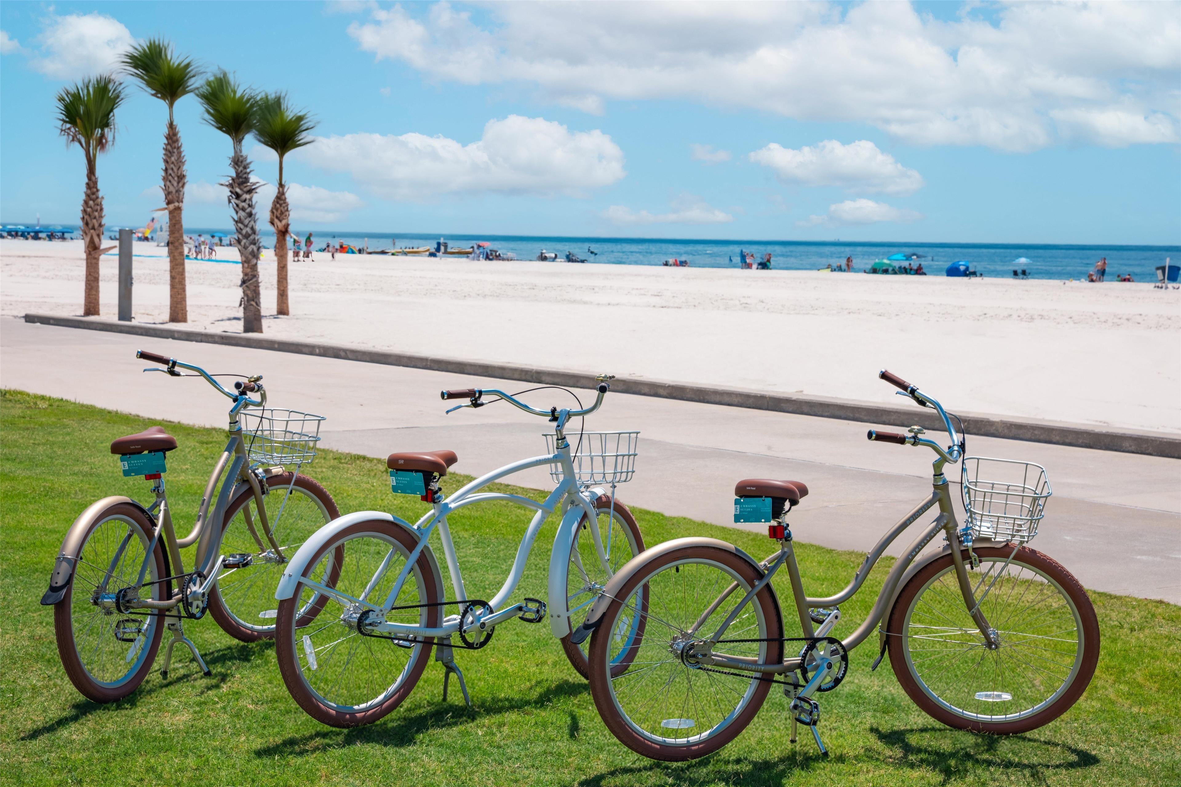A row of bicycles parked on a grassy area with a beach and palm trees in the background.
