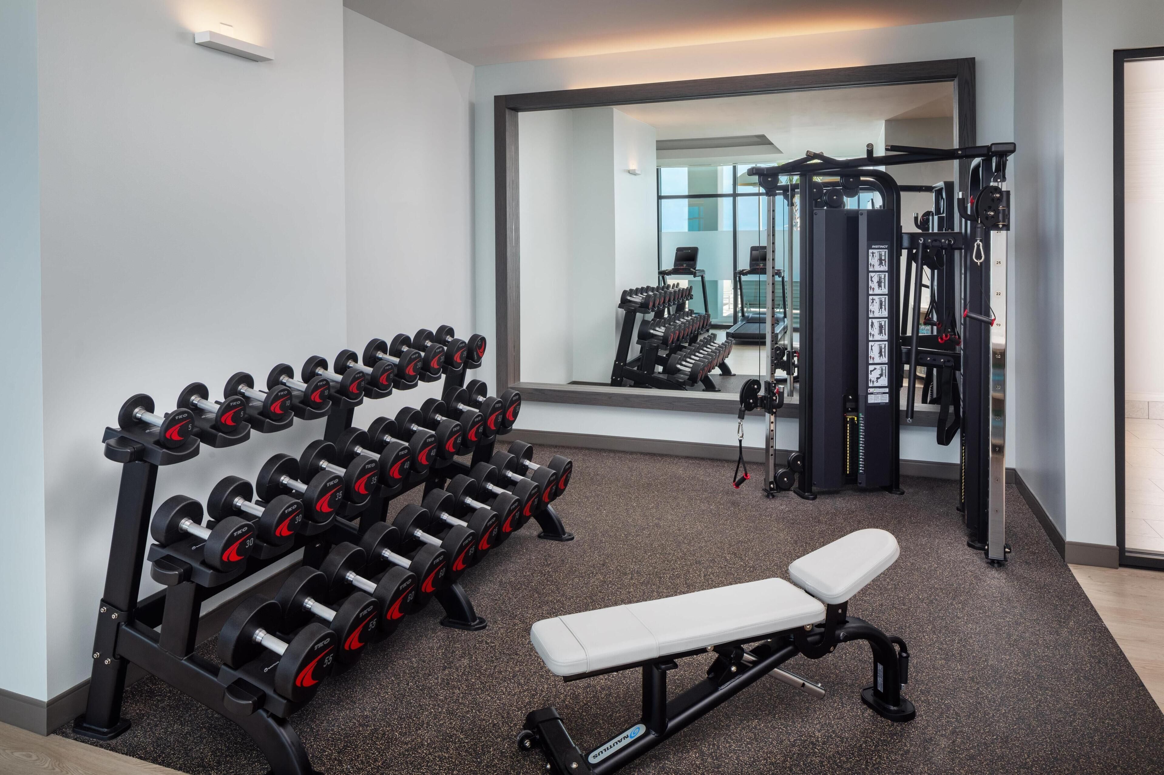 Ein Fitnessstudio mit einer Bank, Kurzhanteln und einem Squat-Gestell.