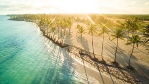 An aerial view of a beach with palm trees and a clear sky. - Cozy 1BR w Balcony Pool Beach Access Cap Cana (Punta Cana)