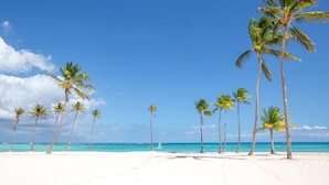 A beach with white sand and tall palm trees under a clear blue sky. - Cozy 1BR w Balcony Pool Beach Access Cap Cana (Punta Cana)