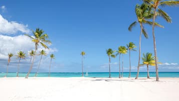 Apartamento | 1 quarto