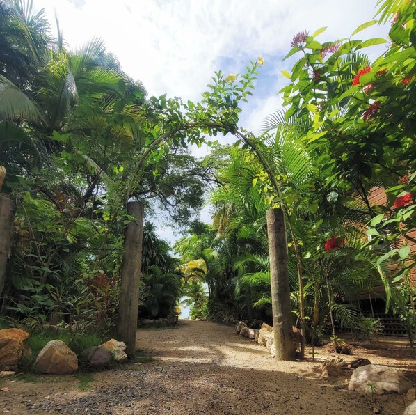 A pathway surrounded by lush greenery and trees, leading to a building. - Cozy Cabana, 1-Minute Walk to the beach and Pool & Budget-Friendly! (Roatan)