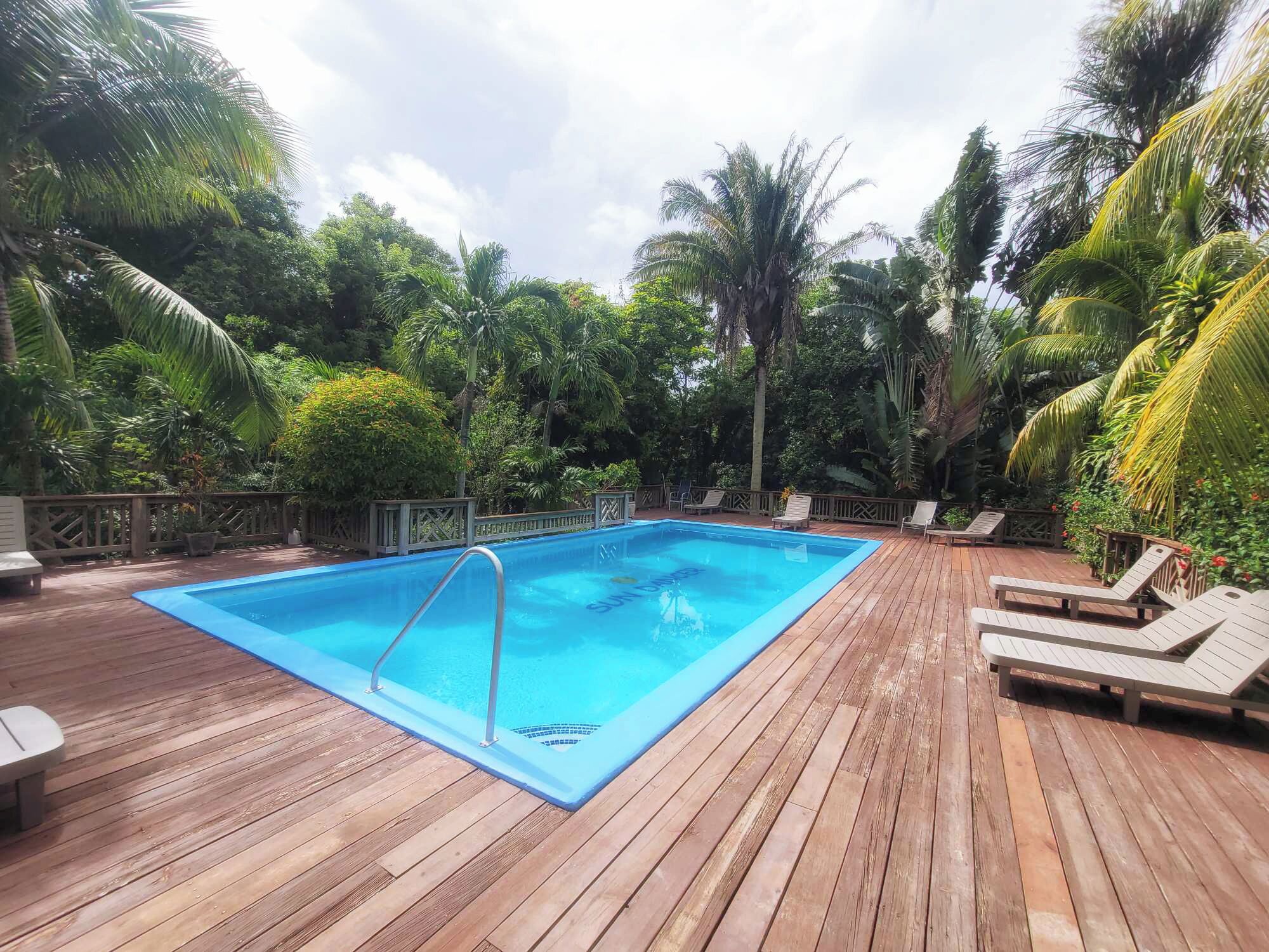 A wooden deck with a swimming pool, surrounded by lush greenery and palm trees.