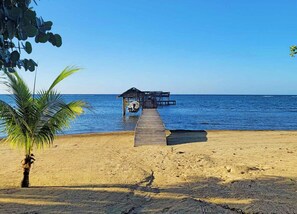 Un muelle de madera que lleva a una pequeña estructura sobre el agua con techo, una palmera y un cielo azul despejado.