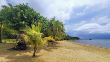Tumbonas y toallas de playa